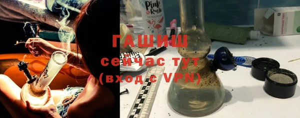индика Дмитриев