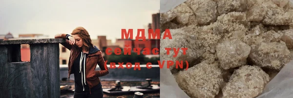 индика Дмитриев