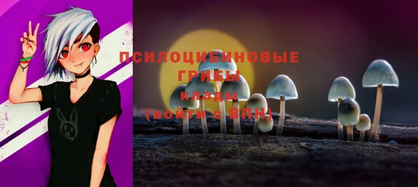 сатива Жердевка