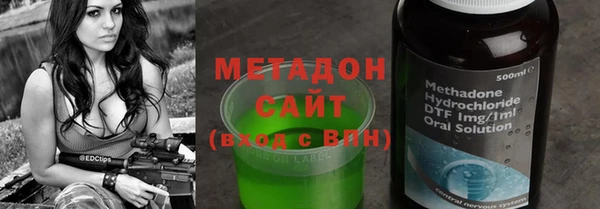 индика Дмитриев