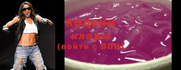 индика Дмитриев