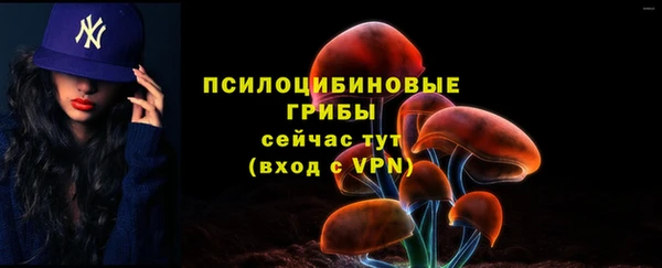 спиды Дмитров
