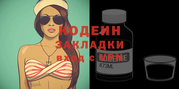 индика Дмитриев