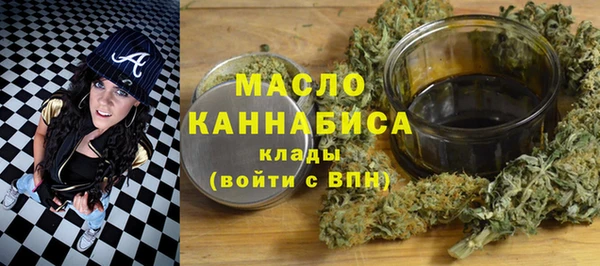 индика Дмитриев