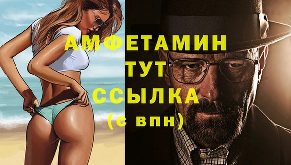 индика Дмитриев