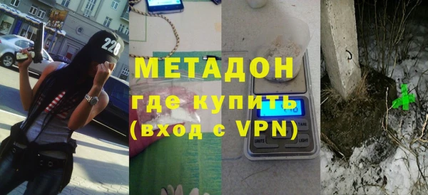 индика Дмитриев