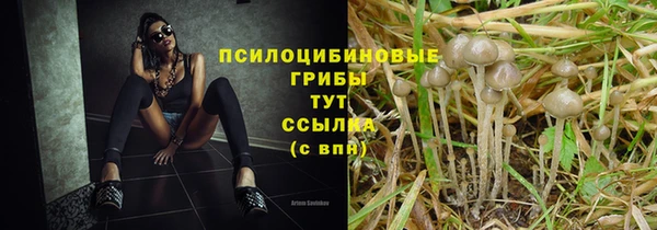спиды Дмитров