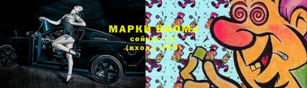индика Дмитриев
