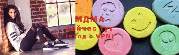 индика Дмитриев
