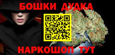 стаф Дубна