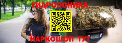 стаф Дубна