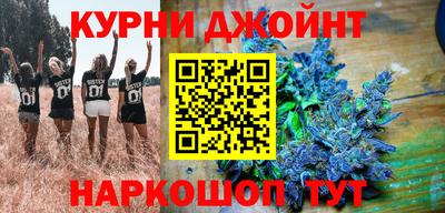 стаф Дубна