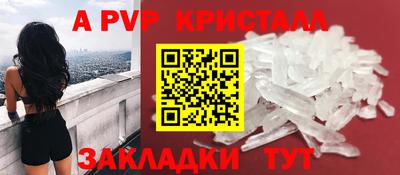 крисы Донской