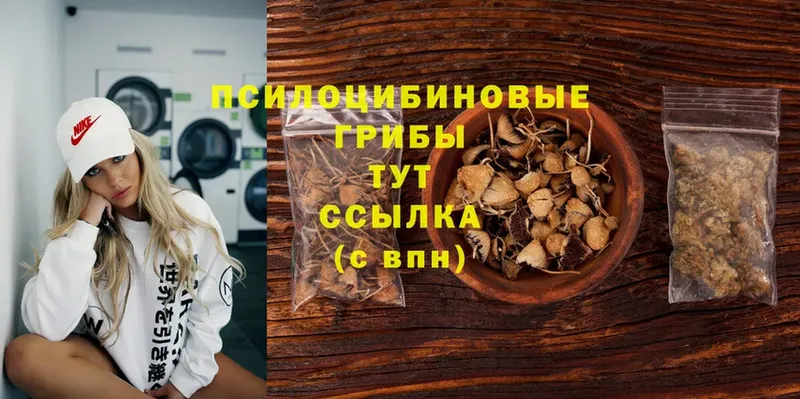 Псилоцибиновые грибы прущие грибы  как найти закладки  Северск 