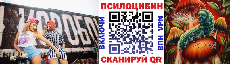 Псилоцибиновые грибы Psilocybine cubensis  купить наркотик  Северск 