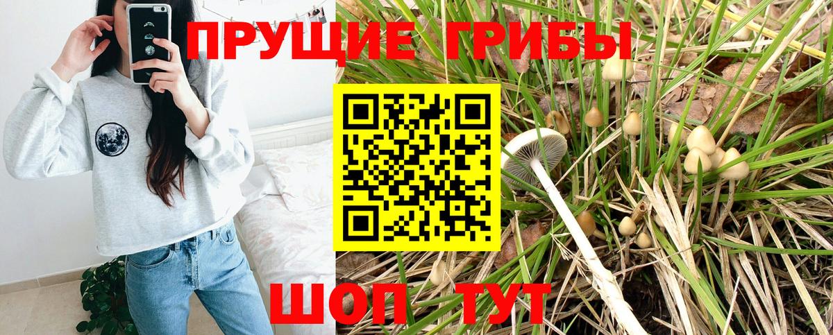 Галлюциногенные грибы мицелий Северск