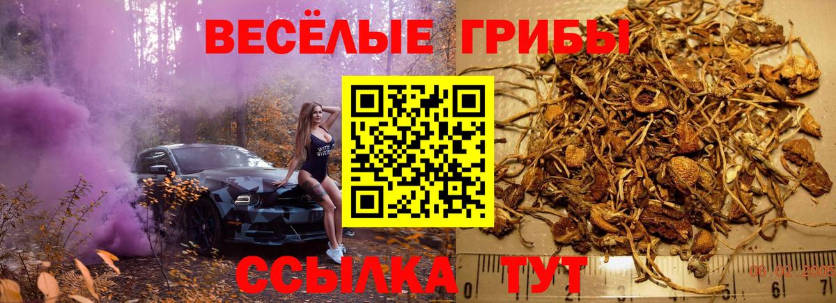 Псилоцибиновые грибы мухоморы  Псилоцибиновые грибы Magic Shrooms  Северск  Вход с VPN 